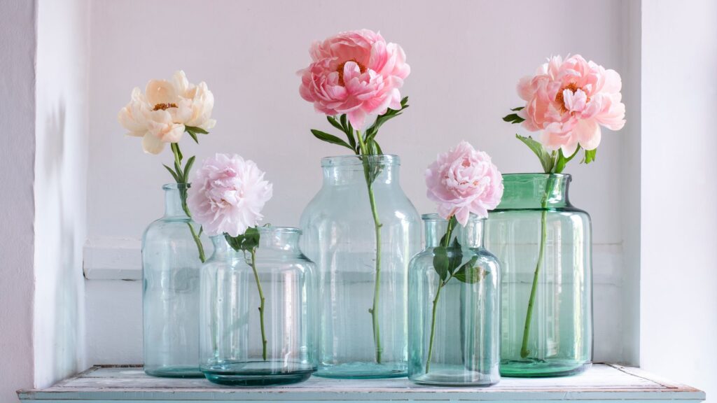 Autrefois, ce geste simple transformait leurs pivoines en merveilles