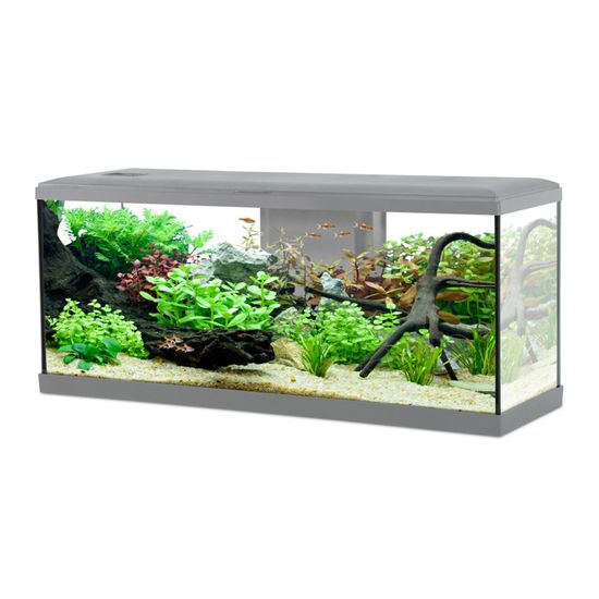 Cet aquarium complet de 28 litres à 108 € chez Cdiscount rivalise avec des modèles deux fois plus onéreux