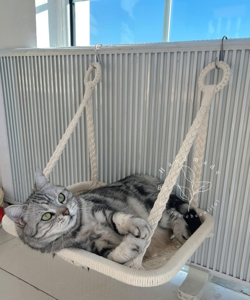 Pour 5 € chez B&#038;M, ce petit accessoire métamorphose votre radiateur en un havre de confort pour votre chat